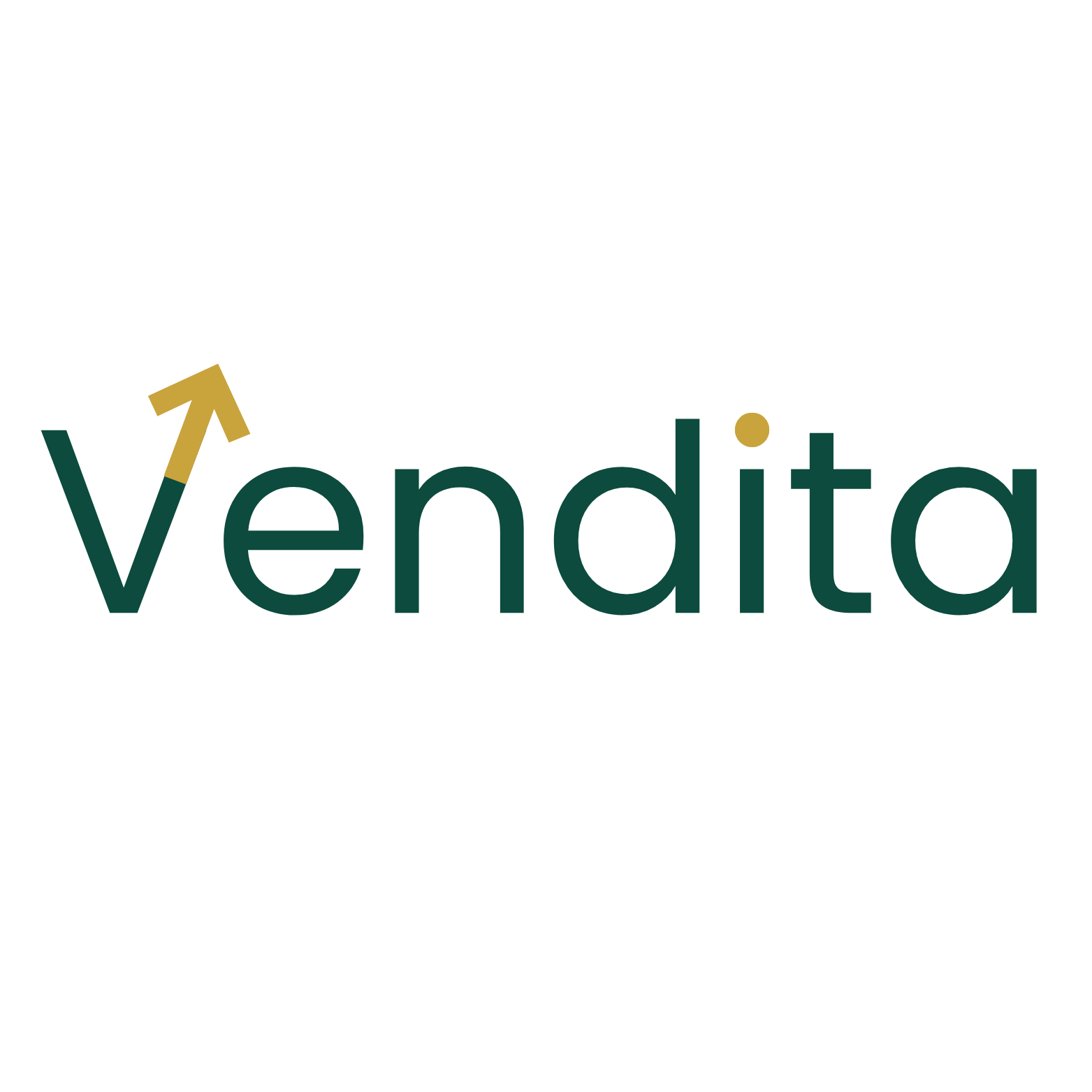 Vendita Logo